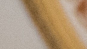 Una reunión entre Schumer y Homan fue suspendida inesperadamente.