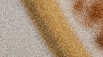 Una reunión entre Schumer y Homan fue suspendida inesperadamente.