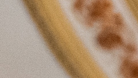 Una reunión entre Schumer y Homan fue suspendida inesperadamente.