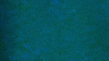 Trump también criticó a la Alianza Atlántica.