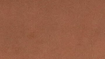 ¿Cuánto dinero obtiene Venezuela por ganar el Clásico Mundial de Béisbol a Estados Unidos?