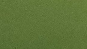 Venezuela hace historia al coronarse por primera vez como campeón del Clásico Mundial de Béisbol 2026