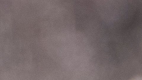 En el Pentágono habían quedado acreditados únicamente medios de corte conservador o de derecha.