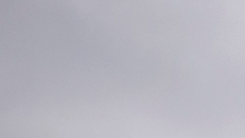 La Ley de Dignidad es impulsada por congresistas republicanos y demócratas.