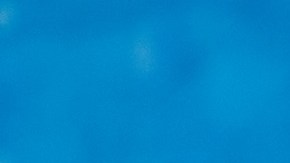 Un hombre con una camisa con el motivo de la bandera estadounidense saca comida de un contenedor de basura para alimentar a los cerdos en La Habana, Cuba, el viernes 27 de marzo de 2026.