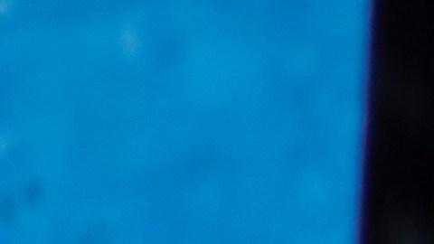 Un hombre con una camisa con el motivo de la bandera estadounidense saca comida de un contenedor de basura para alimentar a los cerdos en La Habana, Cuba, el viernes 27 de marzo de 2026.