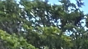 Tiger Woods sale en libertad bajo fianza tras pasar ocho horas detenido en Florida