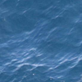 Se observa una ballena de Rice desde la cabina del avión Twin Otter de la NOAA frente a la costa de Texas, en el Golfo de México.