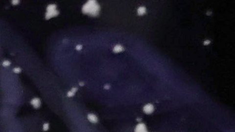 Policía revela que Tiger Woods tenía un medicamento opioide cuando sufrió el accidente en Florida