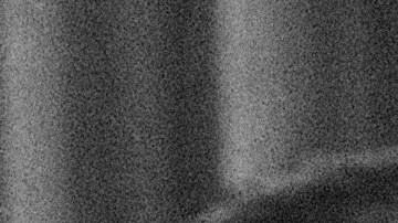 Chávez falleció en Arizona en 1993, mismo estado que lo vio nacer.