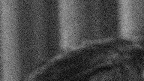 Chávez falleció en Arizona en 1993, mismo estado que lo vio nacer.