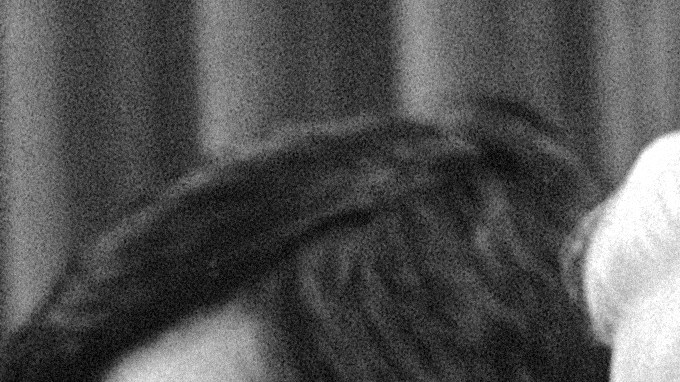 Chávez falleció en Arizona en 1993, mismo estado que lo vio nacer.