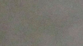 Congresista de NJ, Nellie Pou