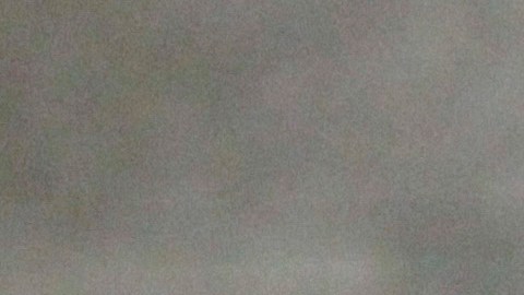 Congresista de NJ, Nellie Pou