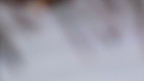 Ana Patricia Gámez, presentadora de televisión, formará parte de Telemundo.