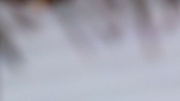 Ana Patricia Gámez, presentadora de televisión, formará parte de Telemundo.