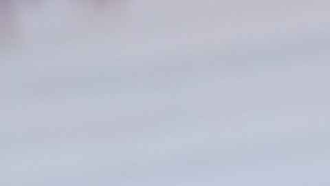 Ana Patricia Gámez ahora es colaboradora de la cadena Telemundo.