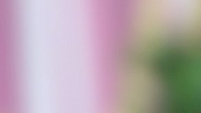 Ana Silvelo Barreiros