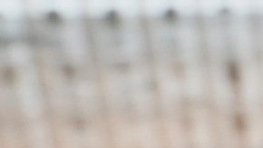 Un plato llamado "Beso de Lengua" servido en el restaurante Alchemist en Copenhague, Dinamarca.