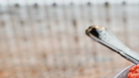 Un plato llamado "Beso de Lengua" servido en el restaurante Alchemist en Copenhague, Dinamarca.