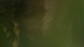 La cuarta temporada de 'Bridgerton' está ya disponible en Netflix.