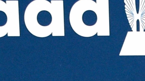 Britney Spears no ha dado declaraciones oficiales después del arresto.