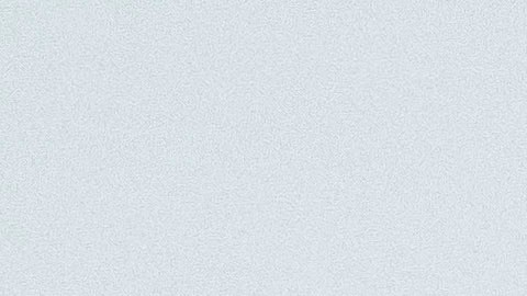 Bruce Willis y Emma Heming