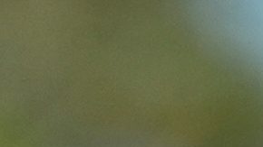 Canada's Abraham Toro celebrates while running the bases after hitting a one-run home run against Cuba during the fifth inning of a World Baseball Classic game in San Juan, Puerto Rico, Wednesday, March 11, 2026. (AP Photo/Fernando Llano)