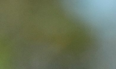 Canada's Abraham Toro celebrates while running the bases after hitting a one-run home run against Cuba during the fifth inning of a World Baseball Classic game in San Juan, Puerto Rico, Wednesday, March 11, 2026. (AP Photo/Fernando Llano)