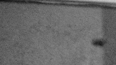 Cary Grant murió en noviembre de 1986.