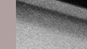 El Sindicato de Trabajadores Agrícolas cancela participación en homenaje a César Chávez.