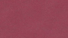 El hijo de Cher enfrenta problemas legales.