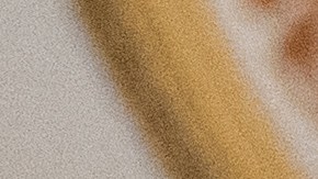 Chuck Schumer, líder demócrata en el Senado.