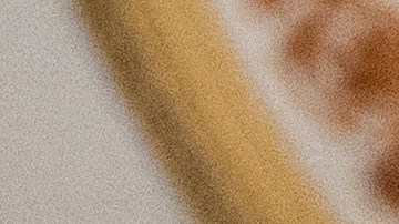 Chuck Schumer, líder demócrata en el Senado.