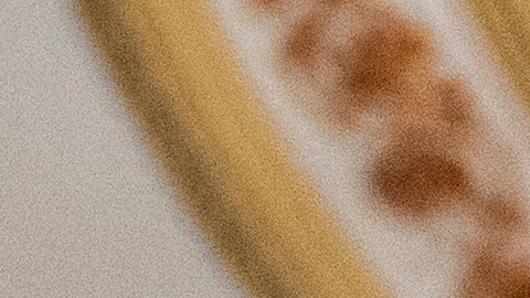 Chuck Schumer, líder demócrata en el Senado.