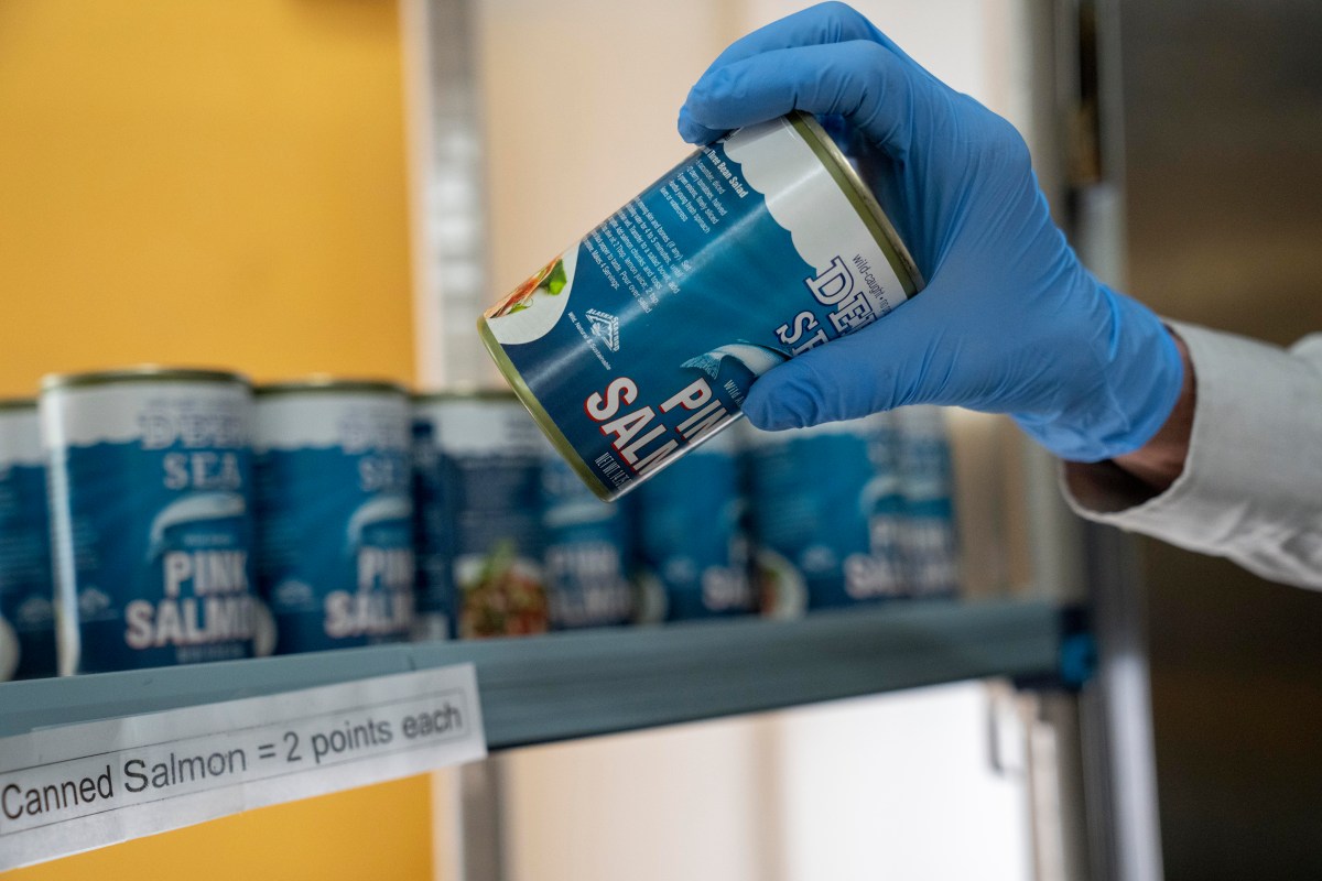 Científicos abren latas de salmón de hace 50 años y descubren una señal inesperada sobre la salud del océano