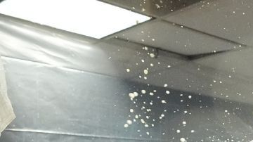 Leyendas de New York Yankees se rinden ante título histórico de Venezuela en el Clásico Mundial.