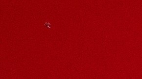 e ha emitido un retiro preventivo para el Pastel de Carne con puré de papas Yukon (Art. 30783) debido a una posible presencia de Salmonela en uno de sus ingredientes.