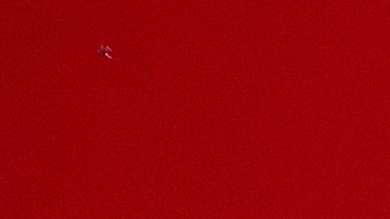 e ha emitido un retiro preventivo para el Pastel de Carne con puré de papas Yukon (Art. 30783) debido a una posible presencia de Salmonela en uno de sus ingredientes.