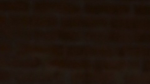 Cristián de la Fuente, actor y presentador chileno.