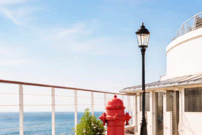 Perro y gato en la cubierta de un crucero con zona especial para mascotas durante un viaje transatlántico