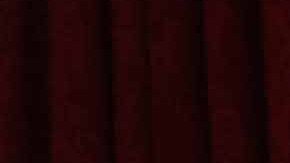 En una ceremonia celebrada este viernes en Harvard Club de Manhattan 'el campeón de los hispanos' homenajeó nuevamente a un grupo de mujeres talentosas y ejemplo en diferentes áreas