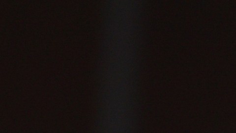 David Lynch murió el 16 de enero del 2025.