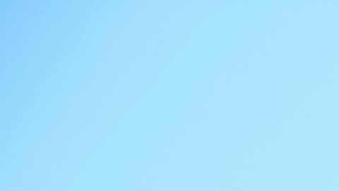 Día Internacional de la Mujer