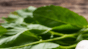 Alimentos recomendados por expertos de Harvard para mejorar la microbiota intestinal y la salud digestiva