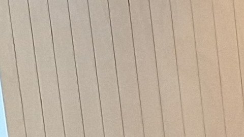 Con una dilatada experiencia en materia de viviendas, Levy asumió el liderazgo del Departamento de Preservación y Desarrollo de Vivienda de Nueva York (HPD) hace ocho semanas.