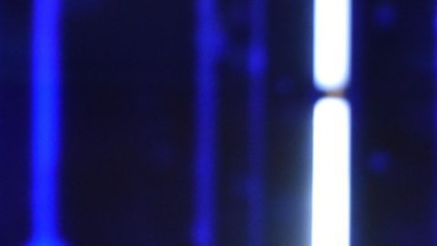 El creador musical figura en el recuento económico más reciente