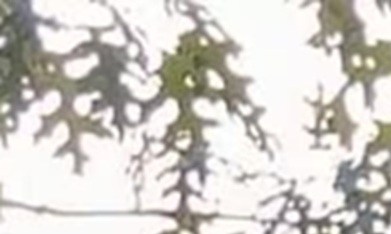 Dylan Contreras estuvo detenido 10 meses por ICE.