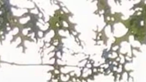 Dylan López Contreras estuvo detenido 10 meses por ICE.