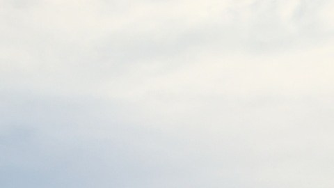 El Programa de Asequibilidad Energética de Con Edison es una herramienta para ayudar a miles de hogares en Nueva York a reducir el costo de sus facturas de electricidad y gas.